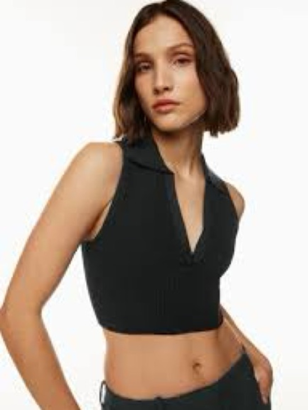 NWT Aritzia Babaton Sculpt Knit Sleeveless Polo Crop Top Blue 2XL